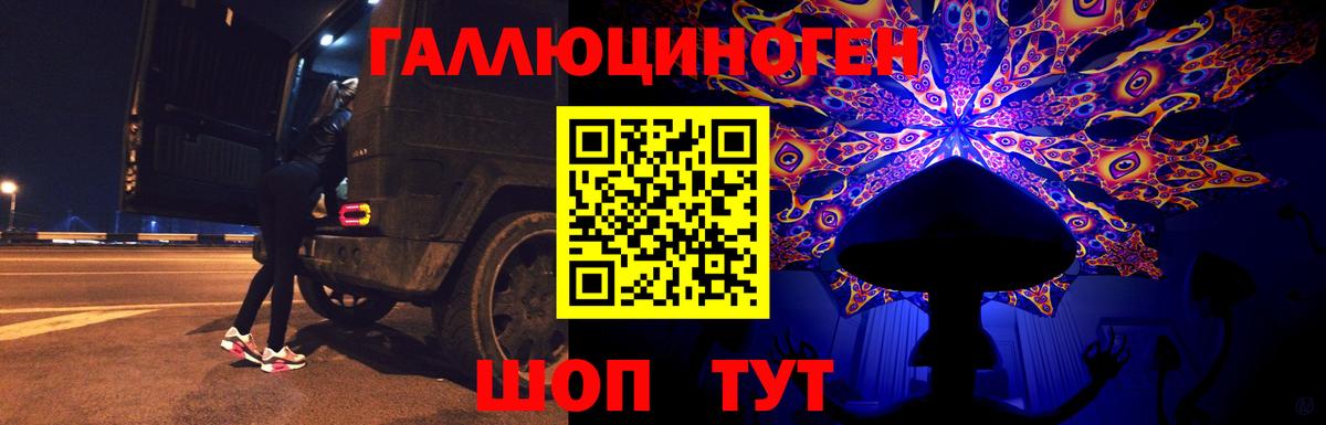 Галлюциногенные грибы Psilocybine cubensis Майский